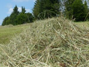 G7d57744b3c5d3fb37553595ab5421962bce4c0f287ca526b876589bb9c59be6c18c012a3c28e1a5cc4527fa096dcaff6 640